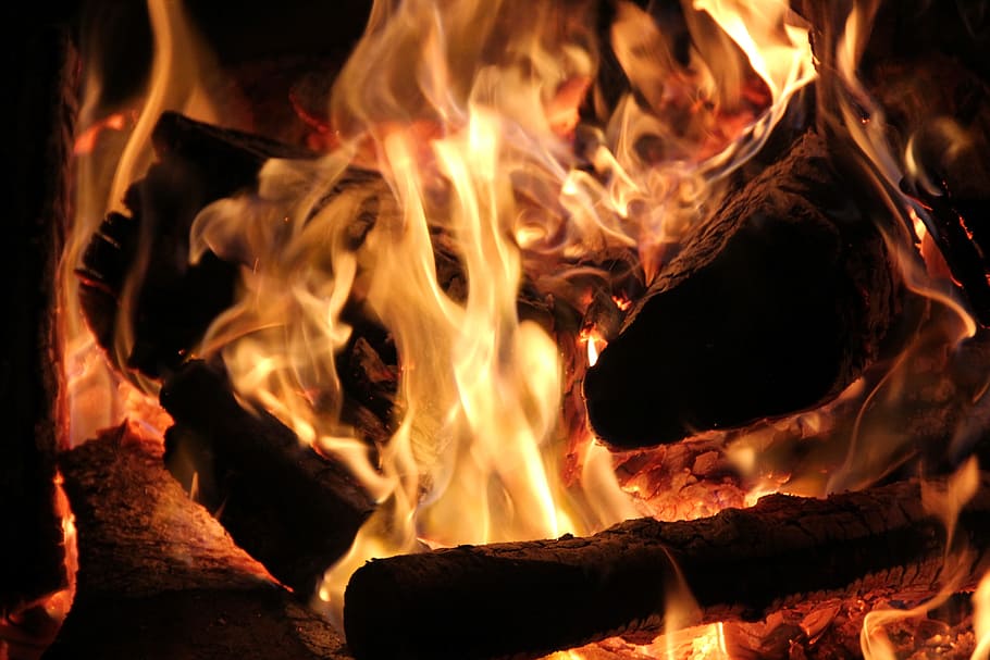 burning firewood, open fire, fireplace, wood, energy, heat, campfire, flame, blaze, wood for the fireplace