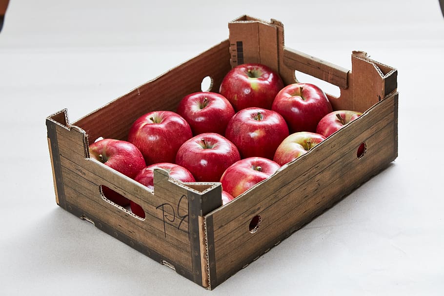 apples, fruit, red apple, nature, apple orchard, closeup, apple, box, container, food