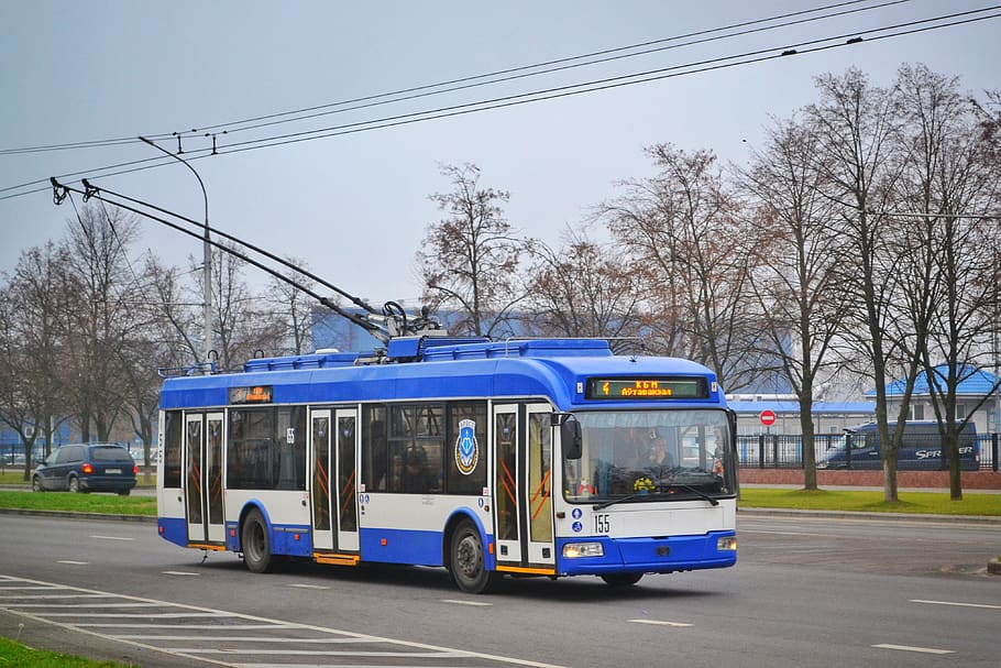 trolley, bus, russia, belarus, road, city, at home, building, transport, electricity