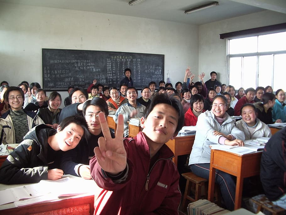 group, people, inside, room, classroom, students, school, class, learning, young