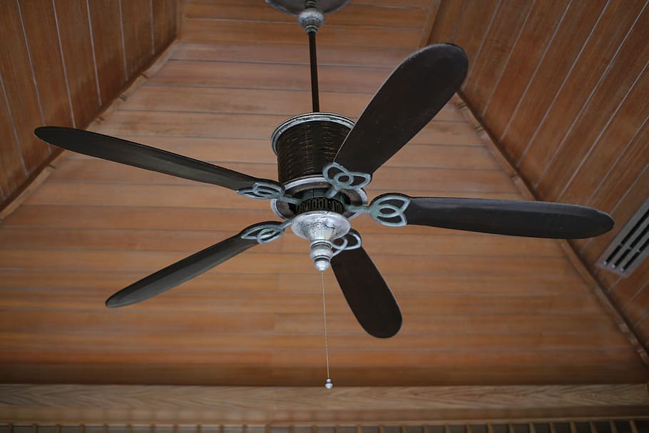 black, 5-blade, 5- blade ceiling fan, wind, ceiling, propeller, electric Fan, ceiling fan, indoors, low angle view