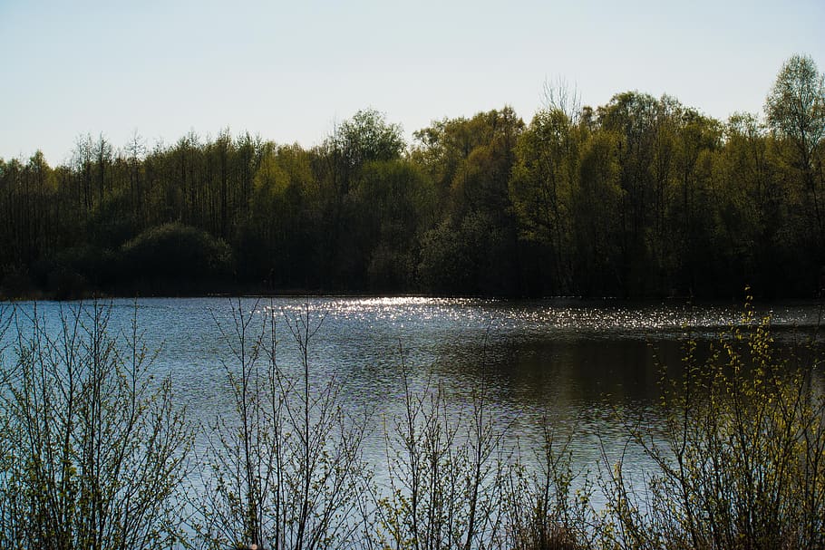 lago, tongrube, wahner pagão, água, brilho, reflexão, refletir, lagoa, espelhamento, árvores