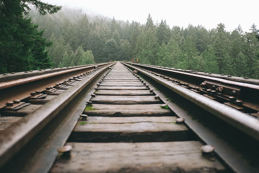 trilho de trem, meio, floresta, preto, trilho, caminho, foto, dia, trilhos de trem, ferrovia