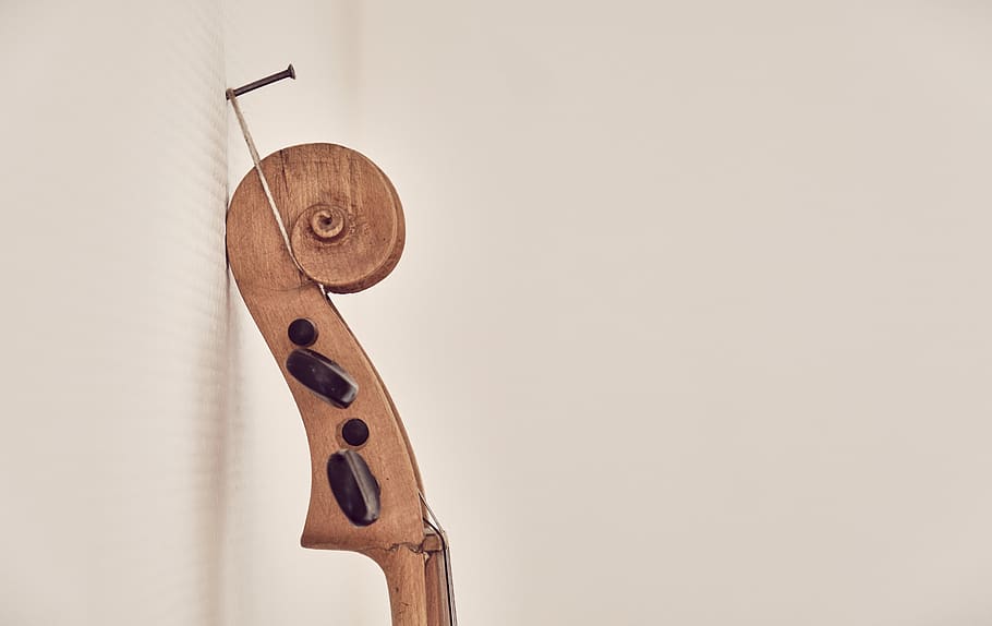 violin, snail, eddy, vortex box, spiral detail, section, musical instrument, suspended, depend, stringed instrument