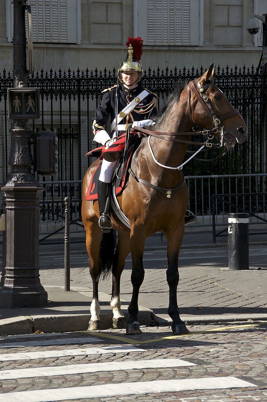 kavaleri, kuda, militer, Prancis, penjaga republik, Paris, wanita, prajurit, hewan domestik, domestik