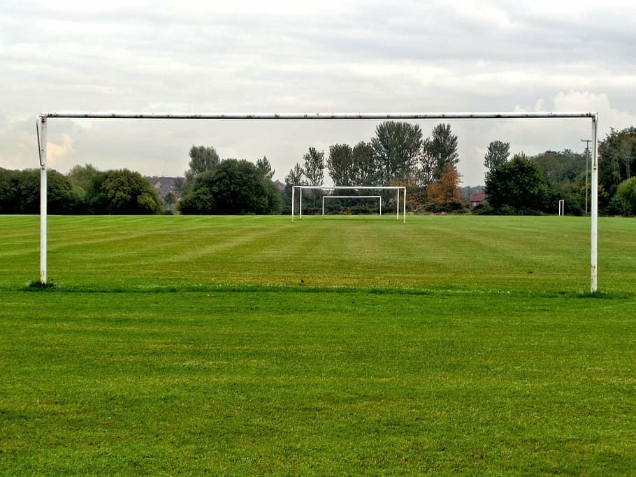 grass, the pitch, goals, sport, plant, tree, green color, soccer, soccer field, sky