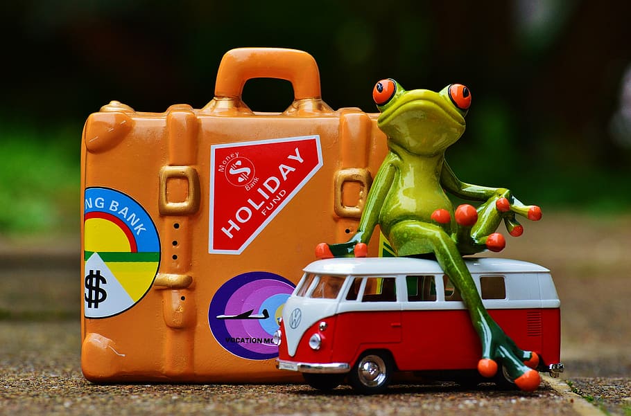 green, frog plastic toy, frog, travel, holiday, fun, funny, figure, go away, holdall