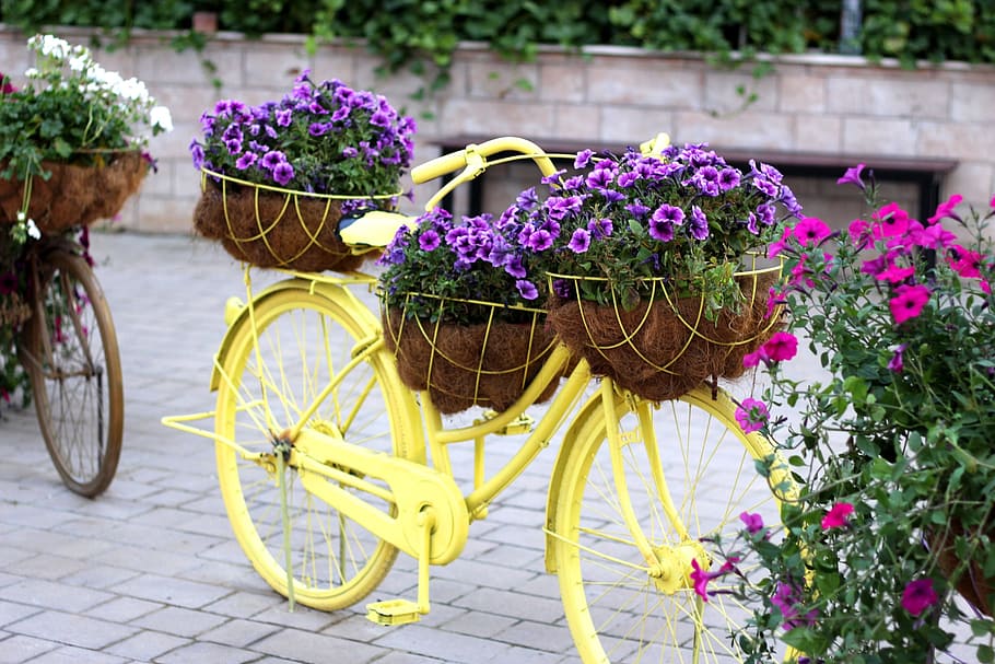 yellow, beach cruiser bike, flowers, bike, floral bike, dubai miracle garden, flower, bicycle, decoration, outdoor
