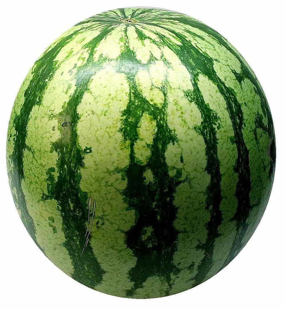 photography of watermelon, watermelon, melon, fruit, sweet, delicious, green, spherical, ball, eat