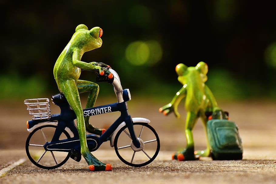 dois, sapos, miniatura, bicicleta, bagagem, saco, miniaturas, foto, despedida, carrinho