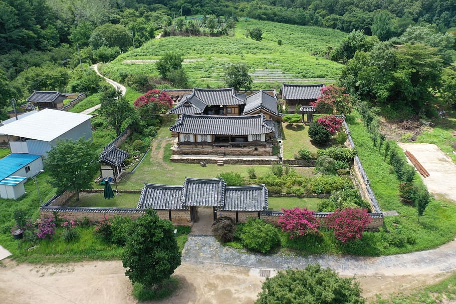 residente, hanok, repetimos a menudo es, foto aérea, país, coreano, planta, árbol, estructura construida, arquitectura