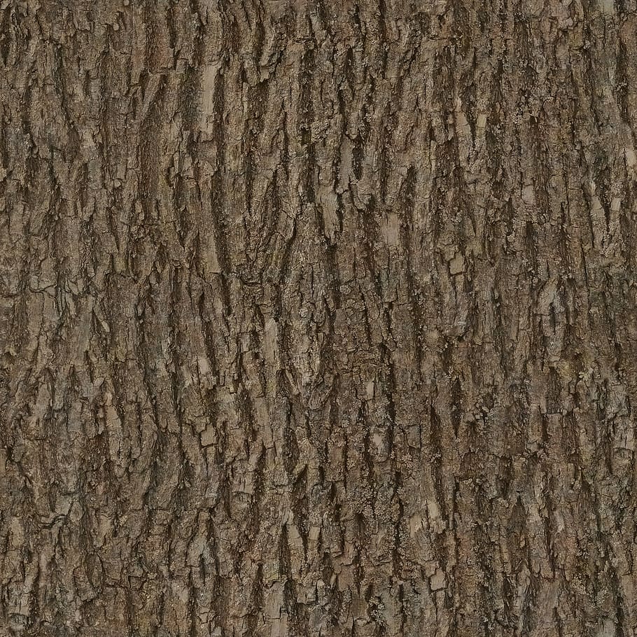 corteza, madera, árbol, sin costura, textura, albedo, base, color, basecolor, 2k