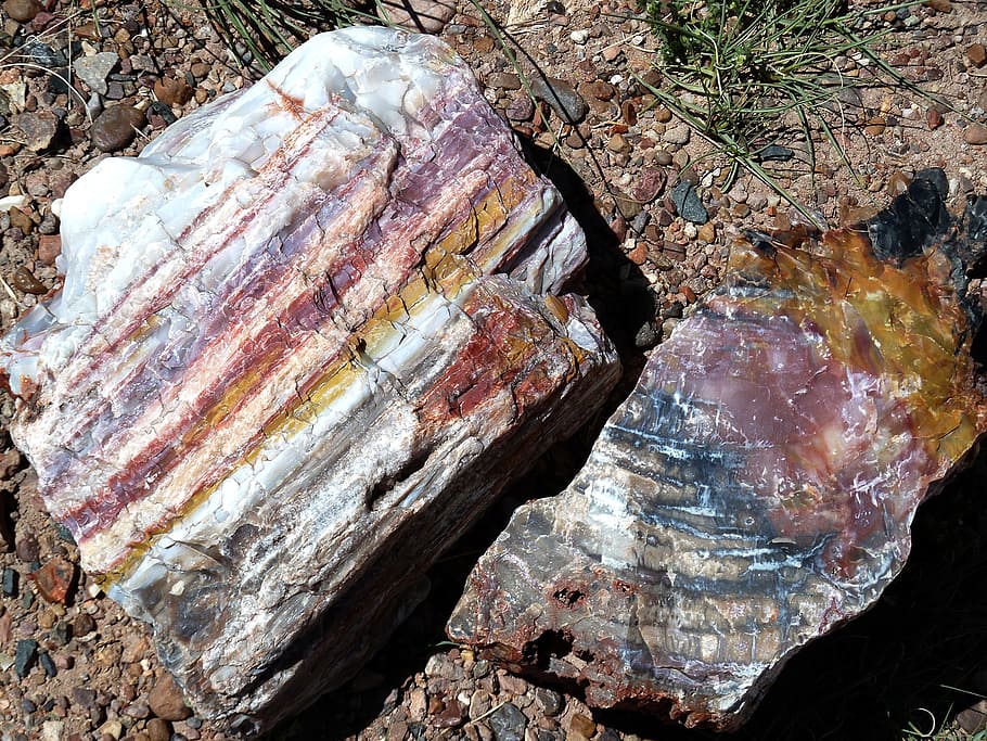 brown, gray, red, stones, petrified, forest, national, park, arizona, usa