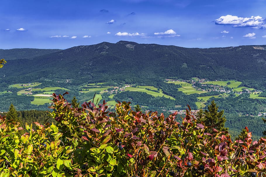 bavarian forest, mountain, bavaria, landscape, germany, forest, nature, mountain range, outlook, in the