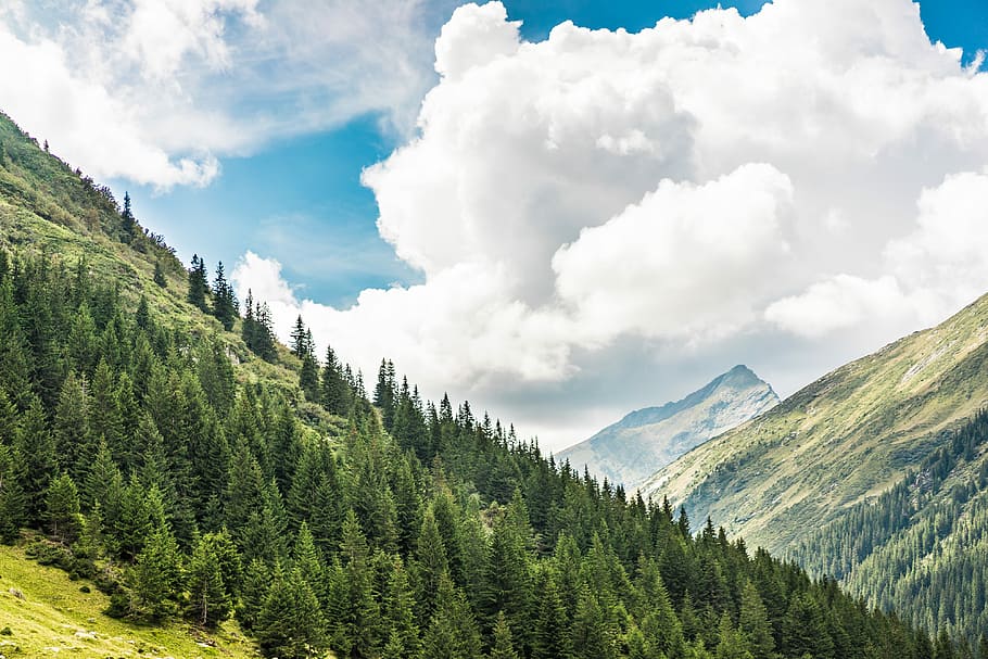 montañas rumanas, hermoso, naturaleza, rumano, montañas, nubes, eco, bosque, verde, cielo