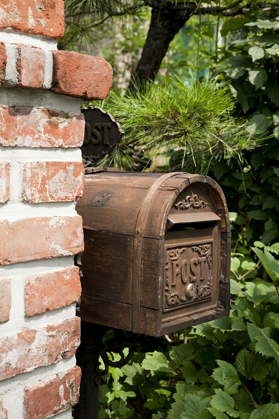 メールボックス, 伝票, 家, 手紙, メール, 配達, カード, 日, 壁, 植物