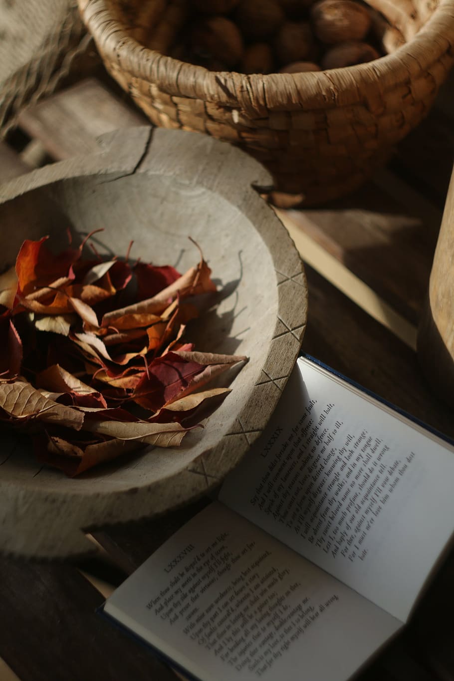 autumn, red, leaves, mood, sonnet, still life, food, paper, table, publication