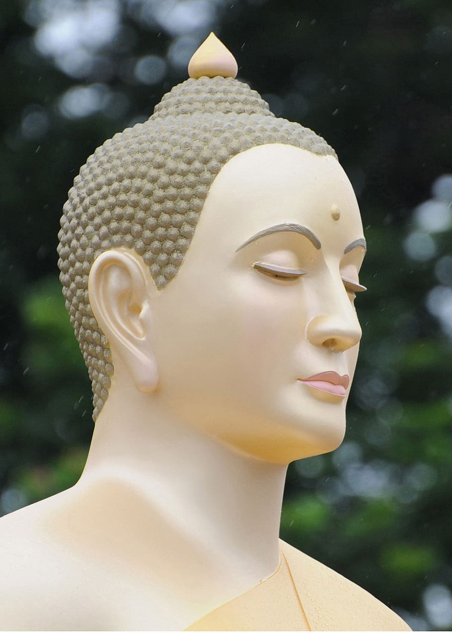 buddha, bermeditasi, wat, phra dhammakaya, thailand, kepala, agama, representasi manusia, representasi, patung
