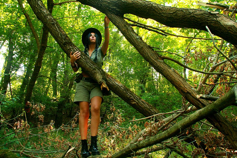 mulher, agarrando-se, tronco de árvore, menina, explorador, escalada, floresta, selva, selvagem, natureza