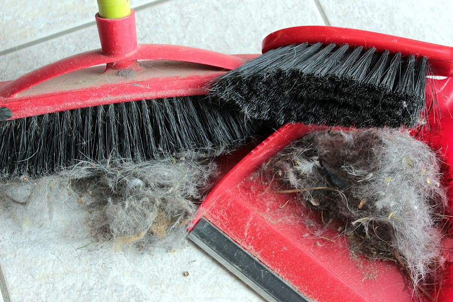 broom, hand brush, blade, return, fluff, hair, animal hair, bird feathers, dirty, trigger allergies