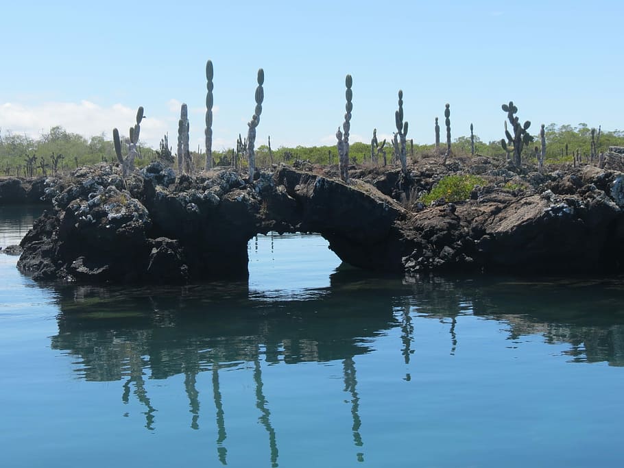 Lava Tunnel, Galapagos Islands, Ecuador, reflection, water, outdoors, day, nature, tranquility, beauty in nature