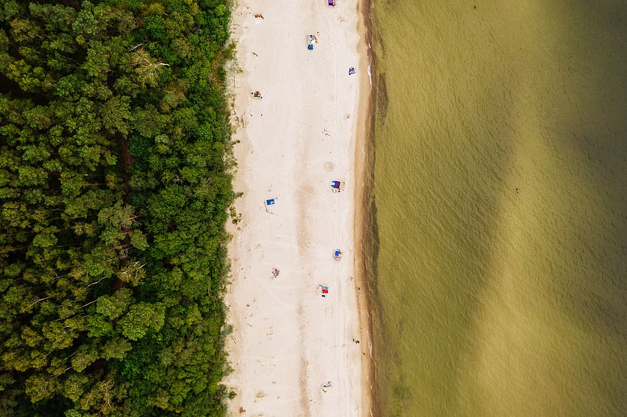 aerial, drone, baltic, sea, beach, sand, landscape, water, summer, holiday
