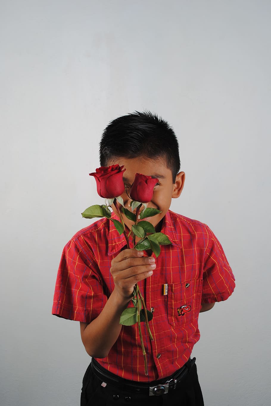 mawar merah, merah, anak, satu orang, anak laki-laki, tampilan depan, masa kanak-kanak, berdiri, di dalam ruangan, pakaian santai