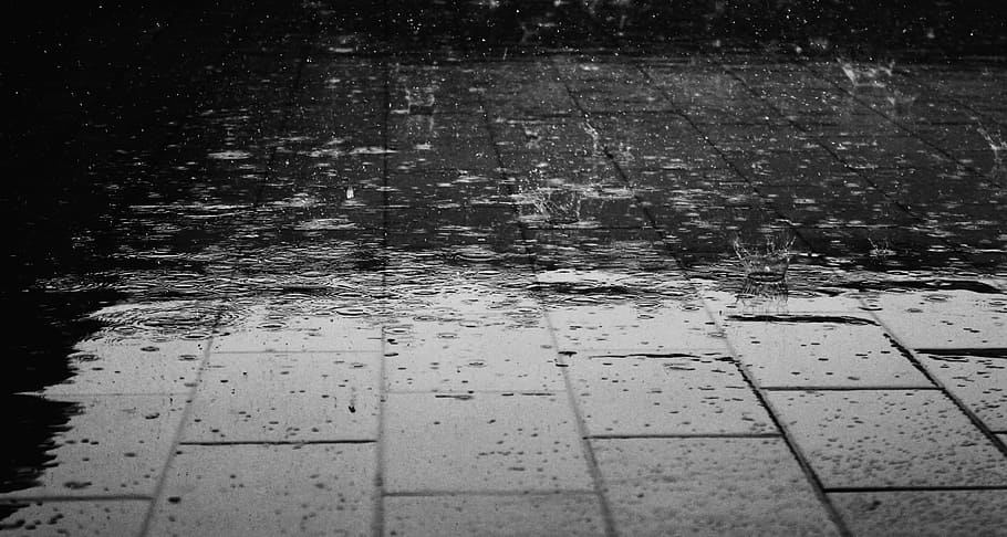 wet, gray, concrete, pavement, rain, floor, water, drops, footpath, rainy season