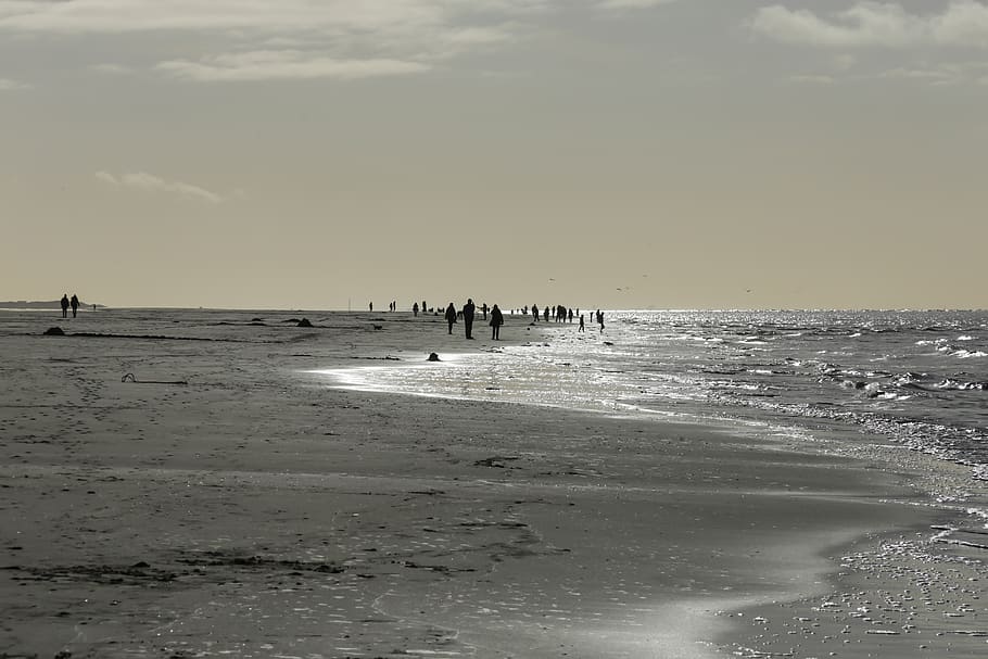 langeoog, playa, frisia oriental, mar del norte, costa, mar, cielo, isla, naturaleza, arena