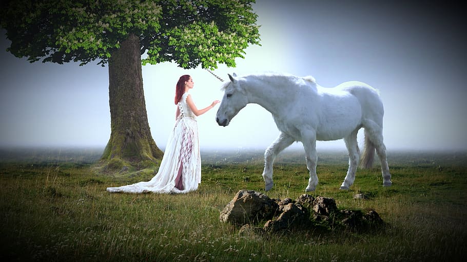 mujer, reina, humana, caballo, animal, unicornio, blanco, prado, rush, árbol