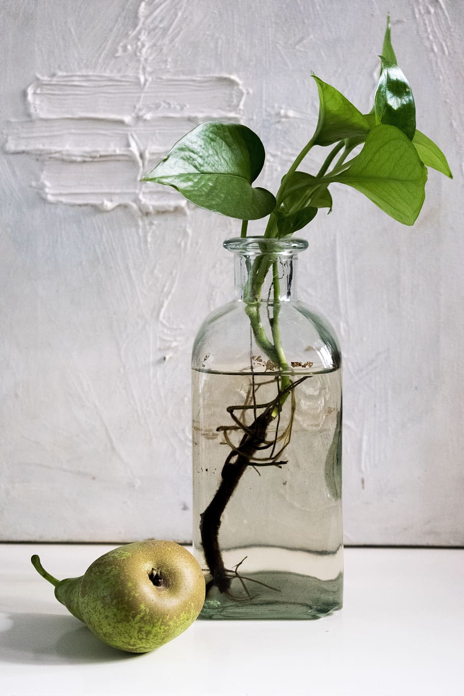 green, plant, bottle, composition, pear, light, water, pact, fruit, leaf
