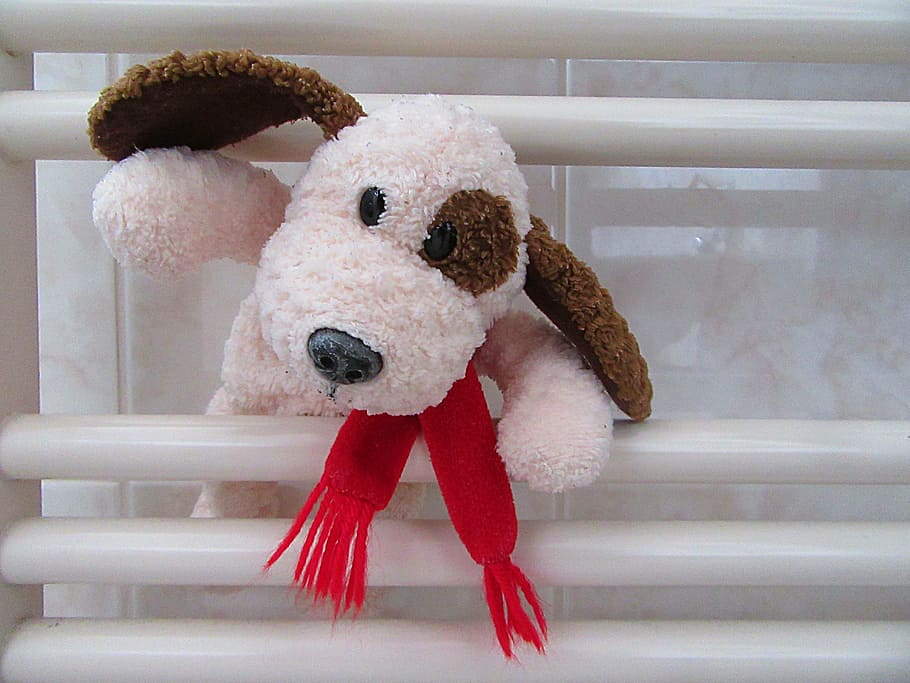 toddler, drying, hug, wash, doggy, toys, clean, stuffed toy, teddy bear, indoors
