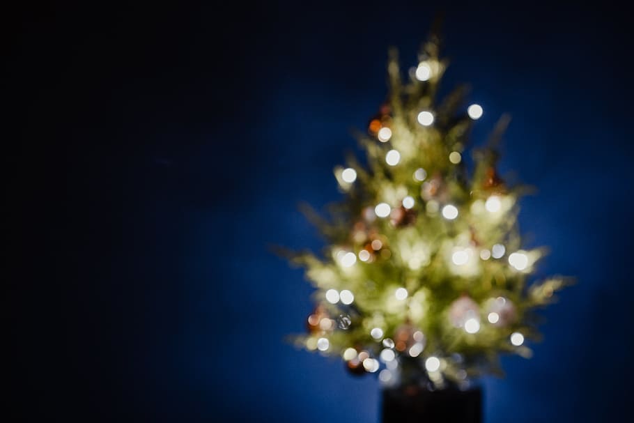 árvore de natal desfocada, árvore de natal, desfocada, luzes, luzes de natal, cópia espaço, Natal, árvore, marinho, azul
