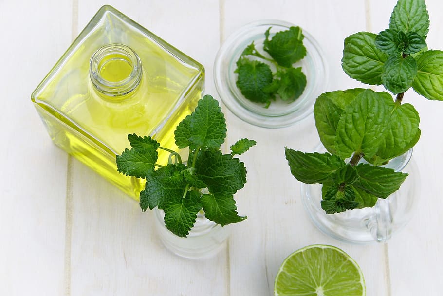 high, angle photography, lime, plant, oil, bottle, leaf, mint, herb, healthy