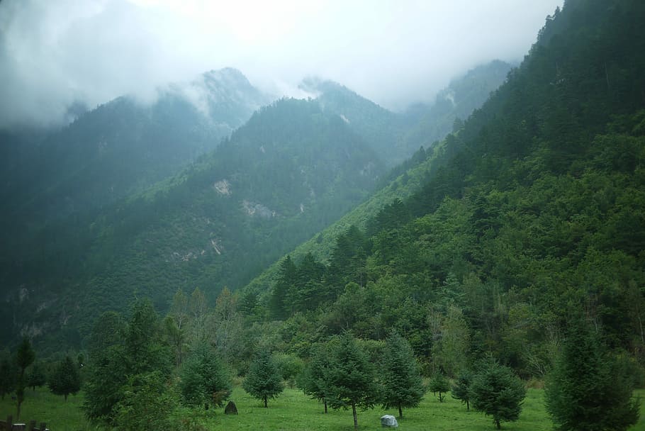 Jiuzhaigou, Mountain, Distant, Hills, distant hills, the scenery, the clouds, white cloud, nature, fog