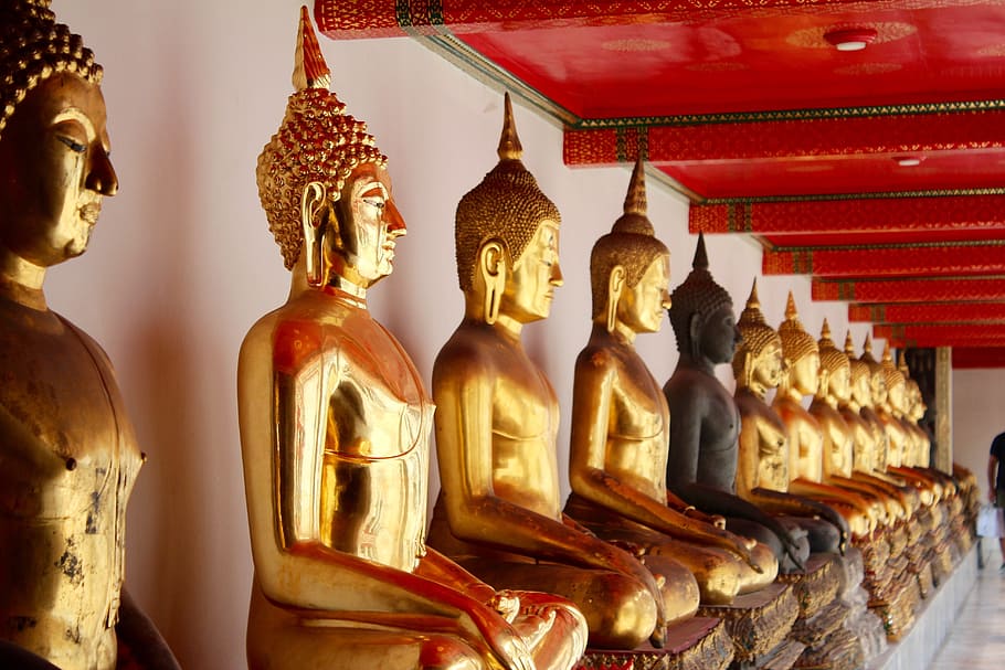 filed, buddha statuettes, bangkok, buddha, gold, meditation, buddhism, thailand, asia, temple