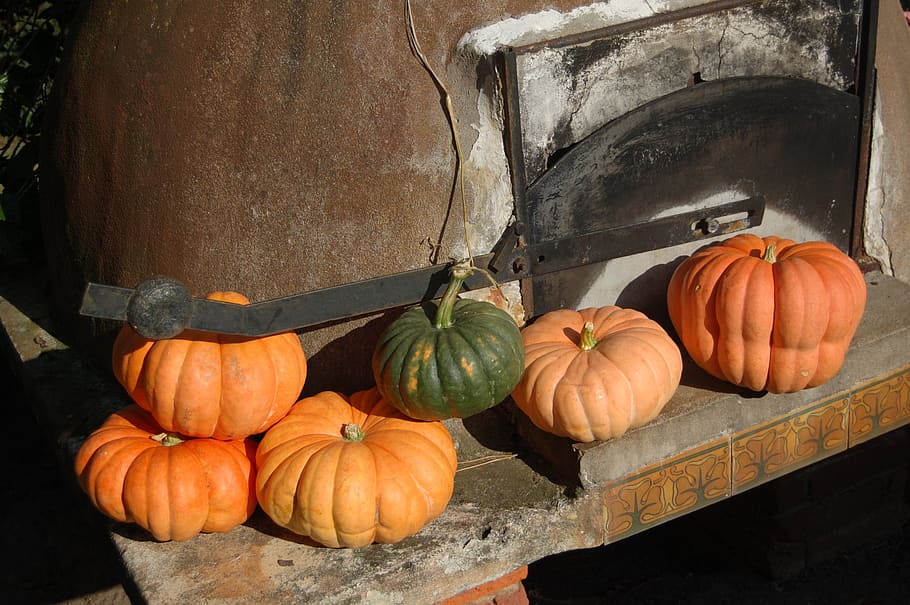pumpkin, bread oven, farm, food, vegetable, food and drink, freshness, wellbeing, healthy eating, orange color