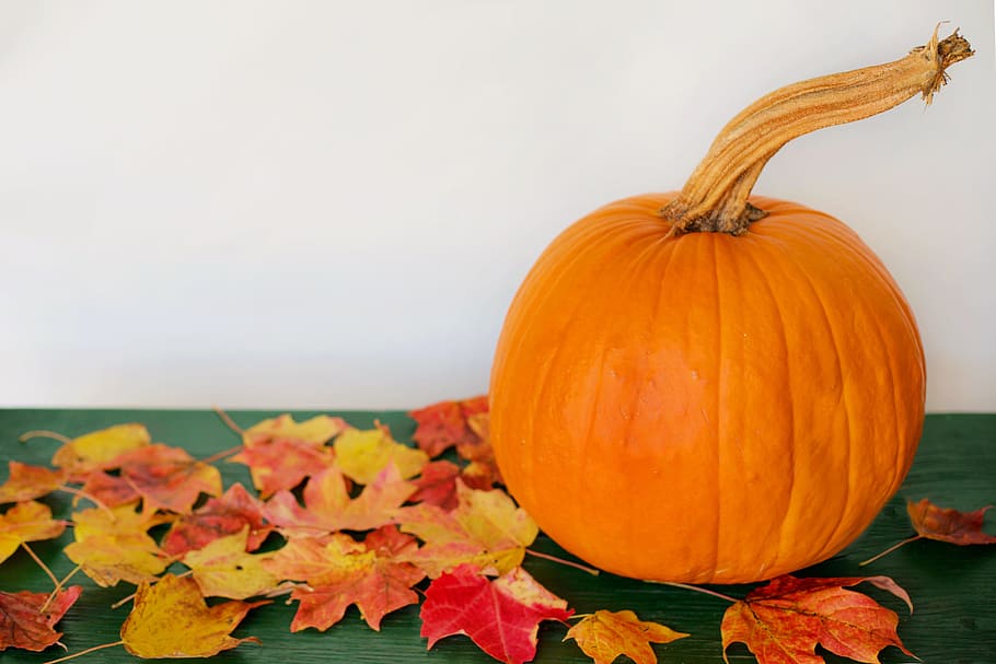 orange, pumpkin, maple, leaves, autumn, fall, text space, background, season, october