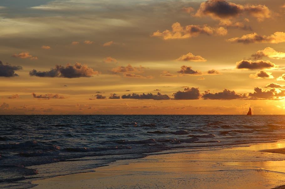 vista del atardecer, orilla del mar, puesta de sol, siesta key, florida, playa, cielo, agua, mar, nube - cielo