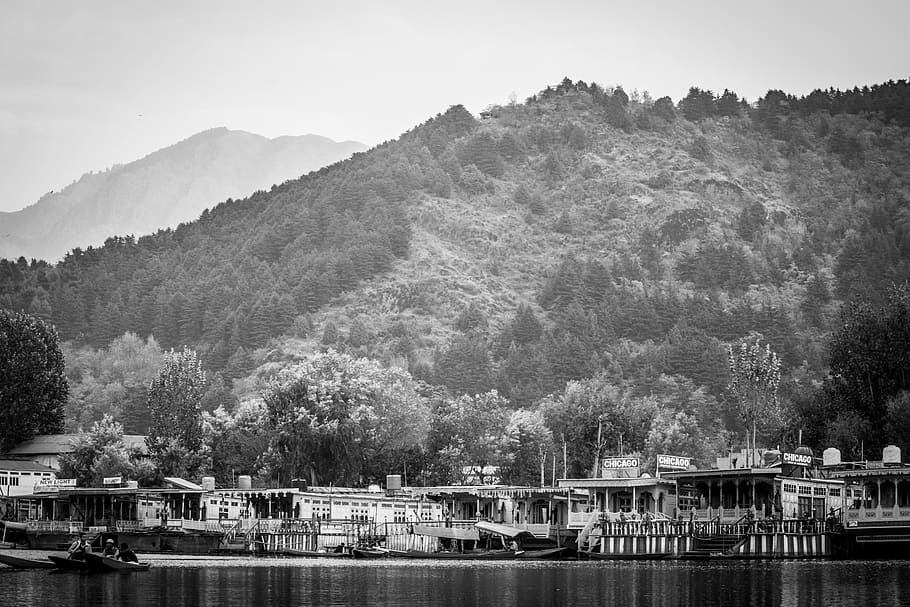 mountains, black and white, landscape, black and white landscape, dal lake, house boats, boats, boats with rooms, luxury rooms, water