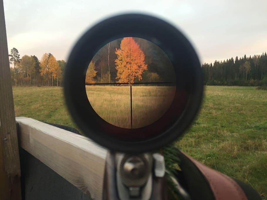 Hunting, Telescopic Sight, Focus, autumn, shooting, weapons, grass, tree, day, sky