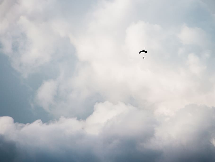 clouds, sky, aerial, people, man, parachute, cloud - sky, animal themes, bird, animal