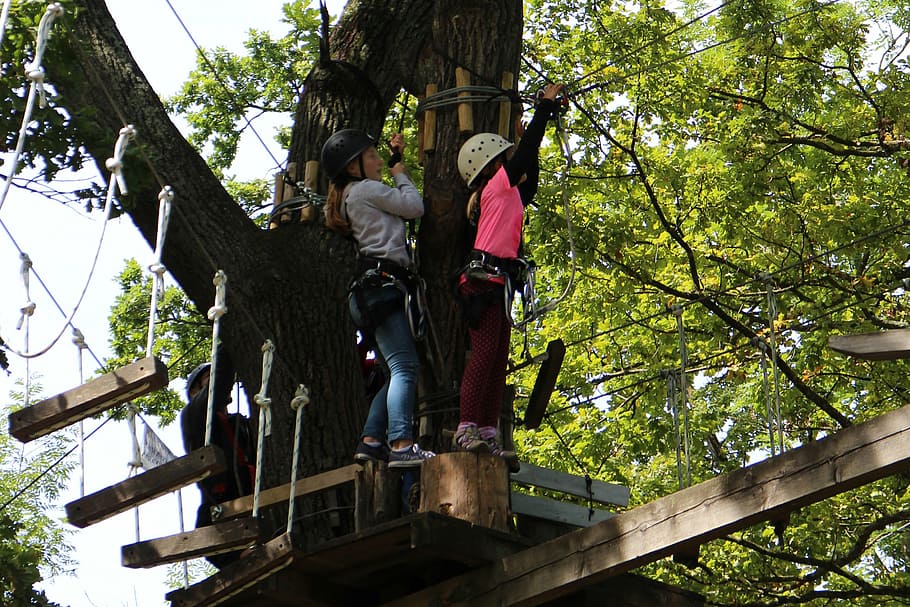 climb, children, girl, high ropes course, climbing garden, climbing forest, rope park, dangerous, head for heights, forest ropes