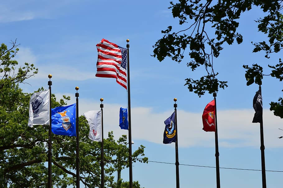 hari veteran, bendera Amerika, bendera militer Amerika, bendera, patriotisme, pohon, langit, alam, tanaman, tidak ada orang