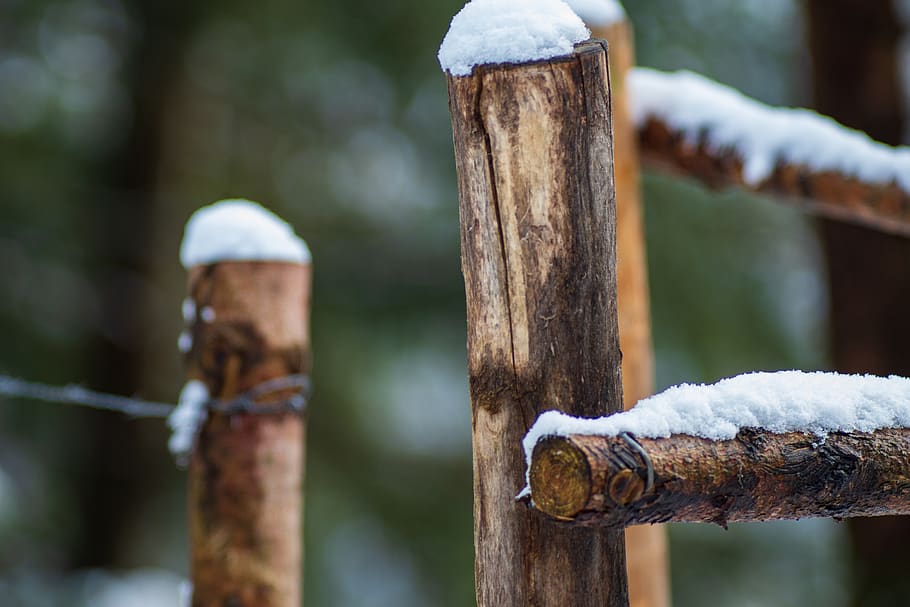 fence, forest, winter, landscape, trees, wood, snow, natural, land, nature