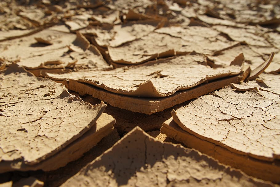 Earth, Drought, Dry, Cracked, Dehydrated, ground, nature, cracks, desert, clay