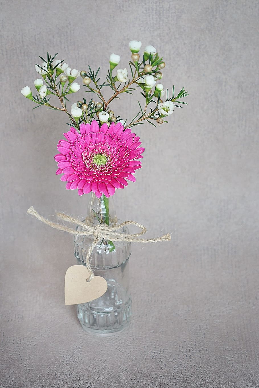 pink, gerbera daisy flower, white, erica flowers, clear, glass bottle centerpiece, gerbera, frangipani, blossom, bloom