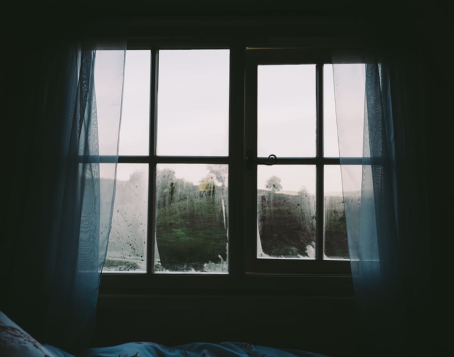 bedroom, window, curtains, dark, transparent, glass - material, indoors, day, nature, tree