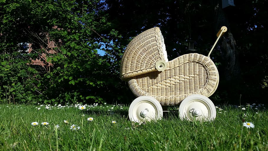 gray, woven, bassinet, green, grass field, daytime, baby carriage, doll prams, doll, child