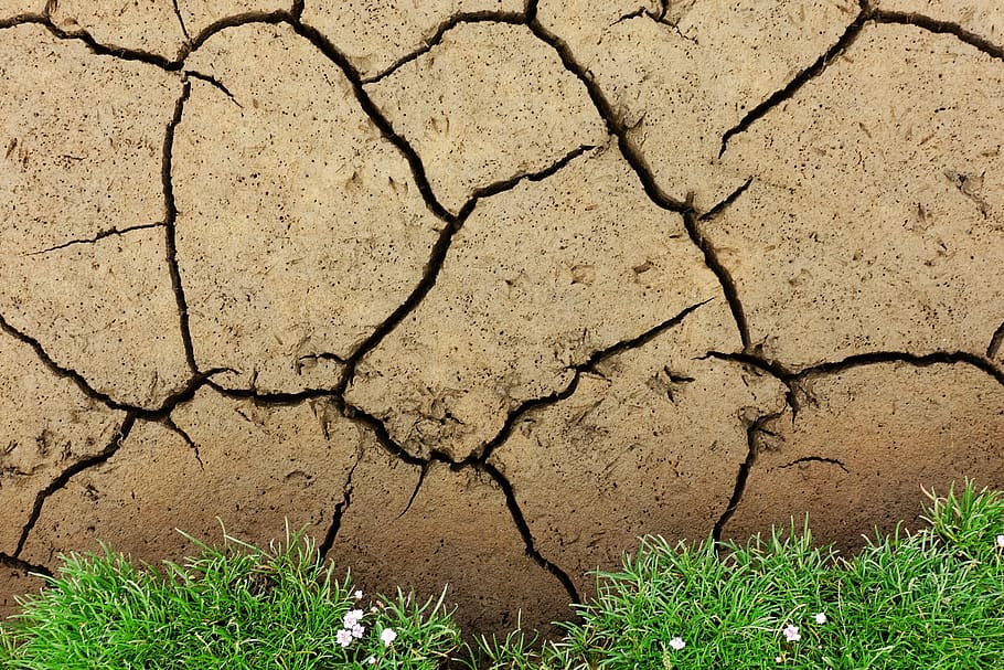 mud, cracked, drought, soil, ground, dry, crack, texture, brown, dirt